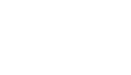 New Peerless Logo_White_No Tech-1